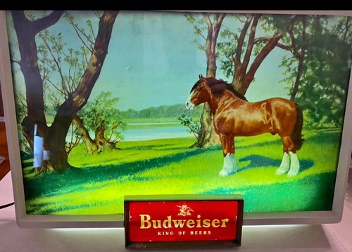 Vintage 1950er budweiser bier - vintage,