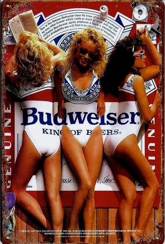 Blechschild budweiser 20x30cm - budweiser,